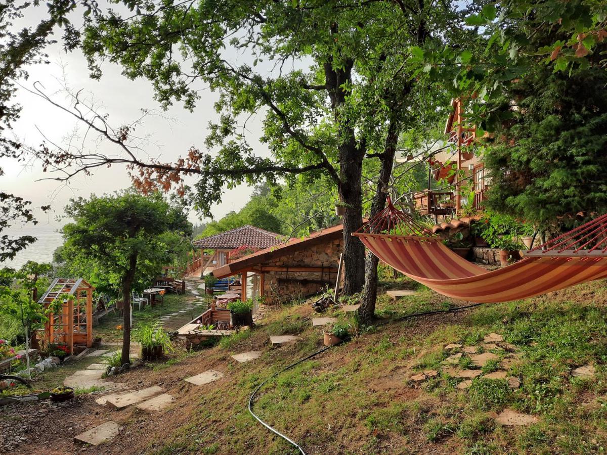 Robinson Sunset Guest House ลากาดิน ภายนอก รูปภาพ